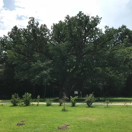 Vitalpension - Adults Only Gæstehus