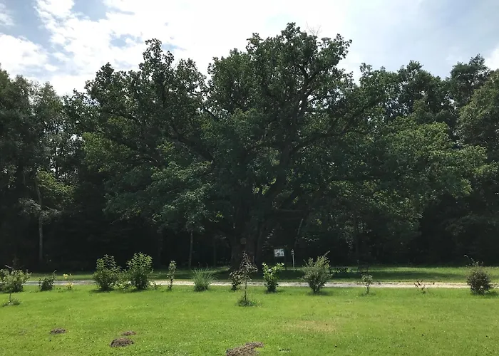 Vitalpension - Adults Only Penzion